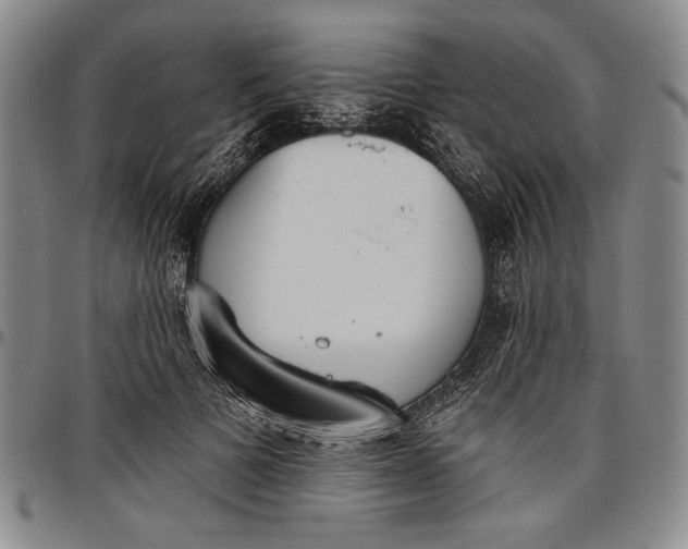 X0000096630697200802191157