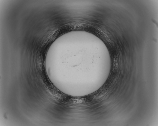 X0000096630698200802191157
