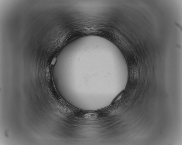 X0000096630700200802191156