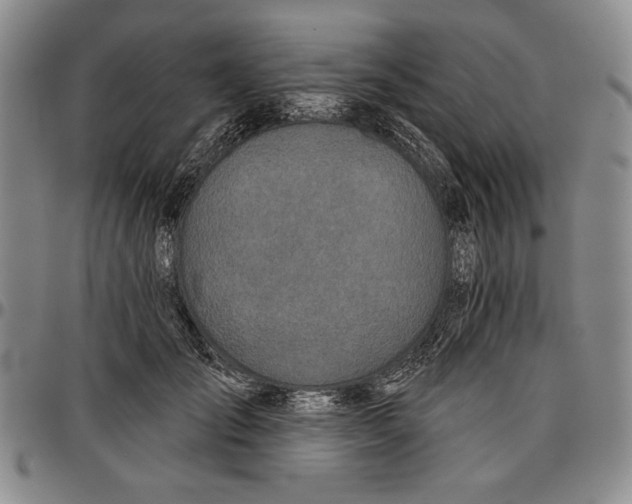 X0000096630701200802191156