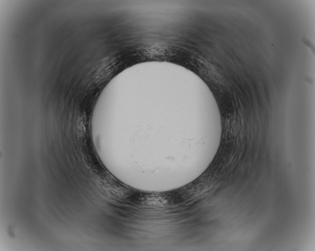 X0000096630702200802191156