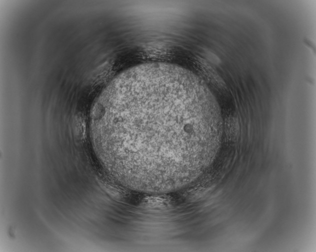 X0000096630703200802191156
