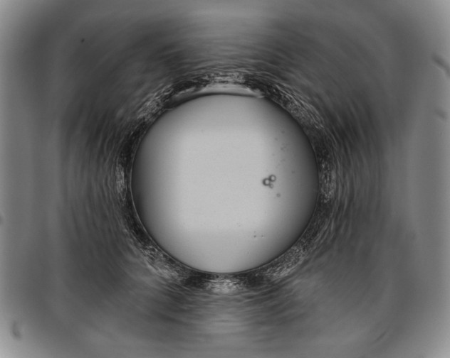 X0000096630704200802191156