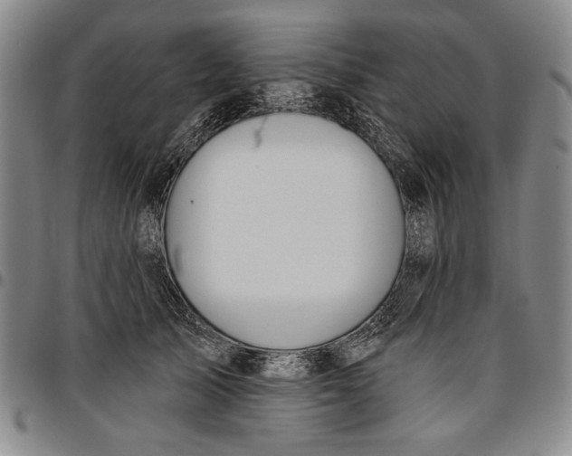 X0000096630705200802191156