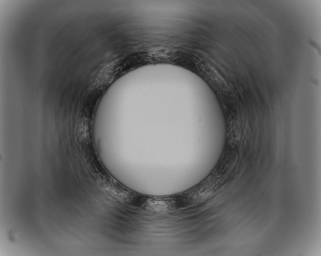 X0000096630706200802191156