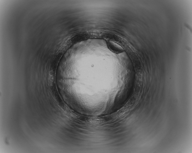 X0000096630707200802191156