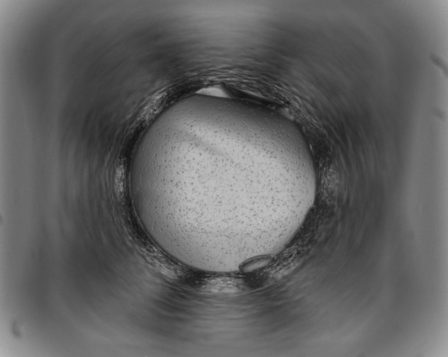 X0000096630708200802191156