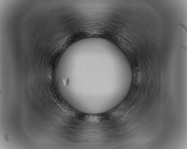 X0000096630710200802191156