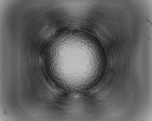 X0000096630711200802191156