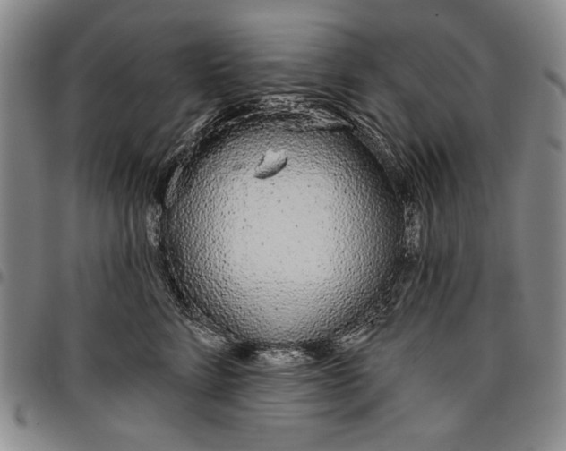 X0000096630712200802191156