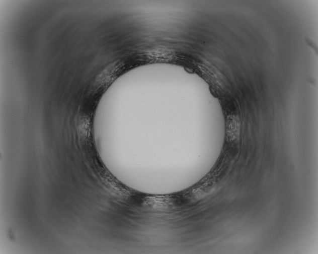 X0000096630713200802191156