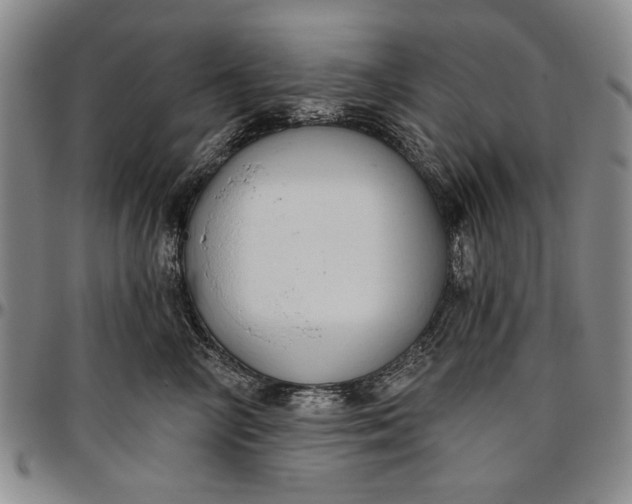 X0000096630714200802191156