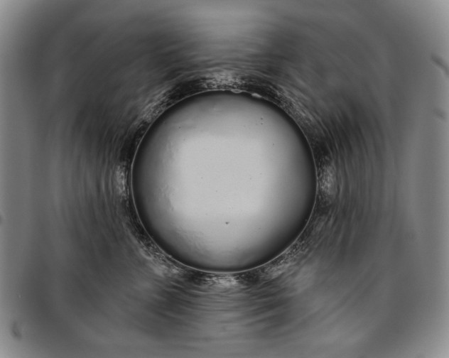 X0000096630715200802191156