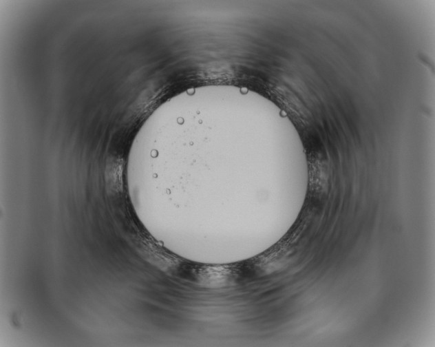 X0000096630717200802191156
