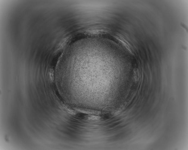 X0000096630718200802191156