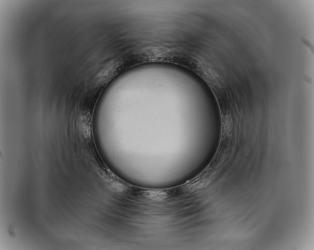 X0000096630719200802191156