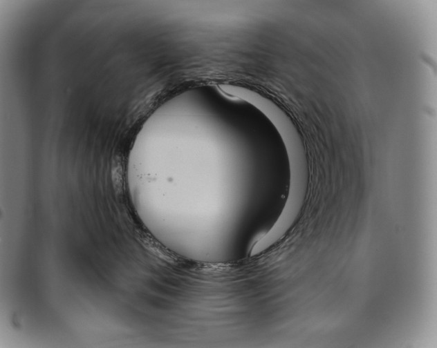 X0000096630720200802191156