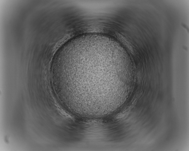 X0000096630721200802191155
