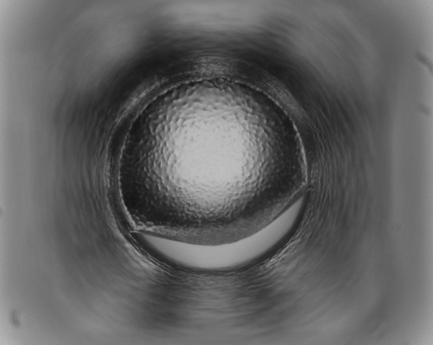 X0000096630722200802191155