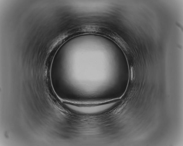 X0000096630723200802191155