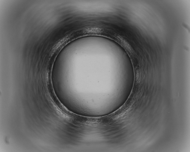 X0000096630725200802191155