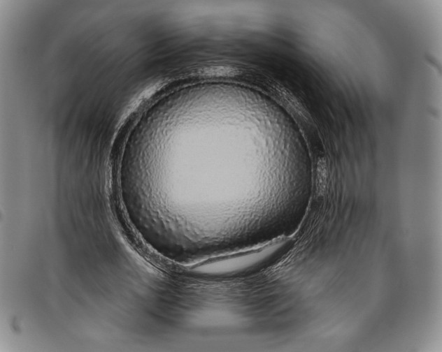X0000096630726200802191155