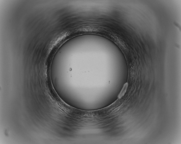 X0000096630727200802191155