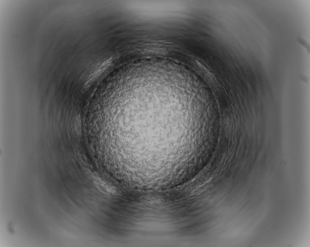 X0000096630729200802191155