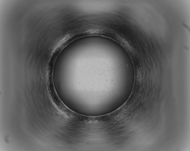 X0000096630730200802191156