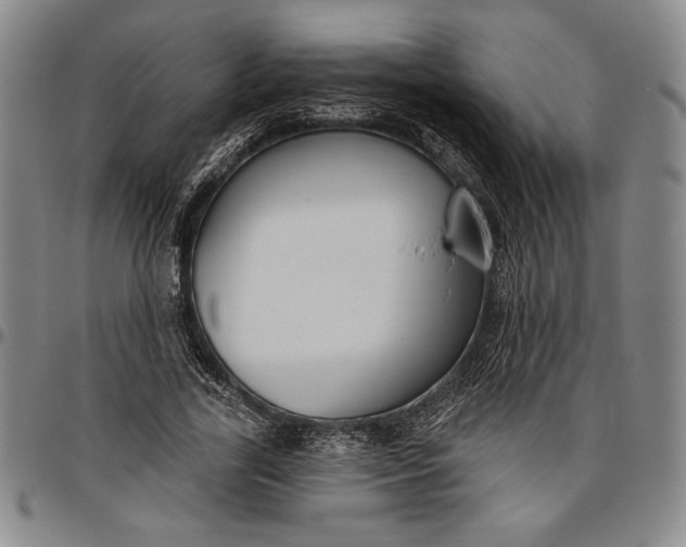 X0000096630731200802191156