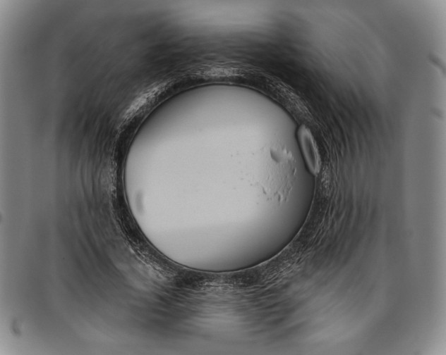 X0000096630732200802191156
