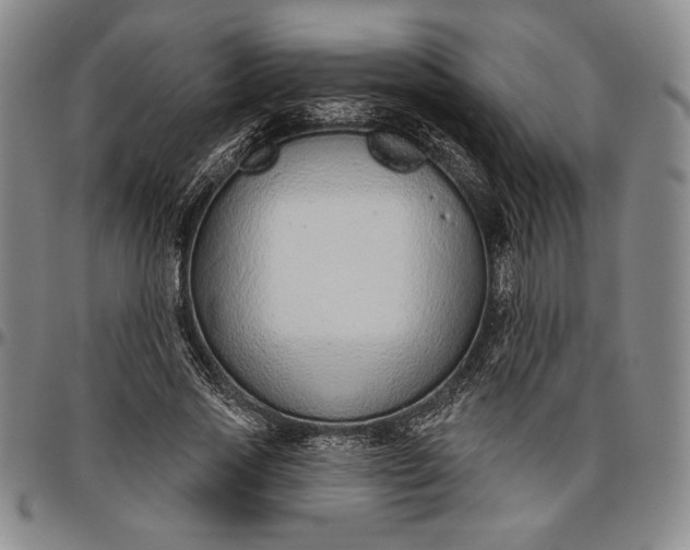 X0000096630733200802191156