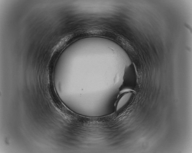 X0000096630734200802191156
