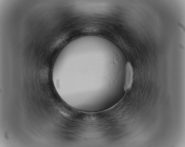 X0000096630735200802191156