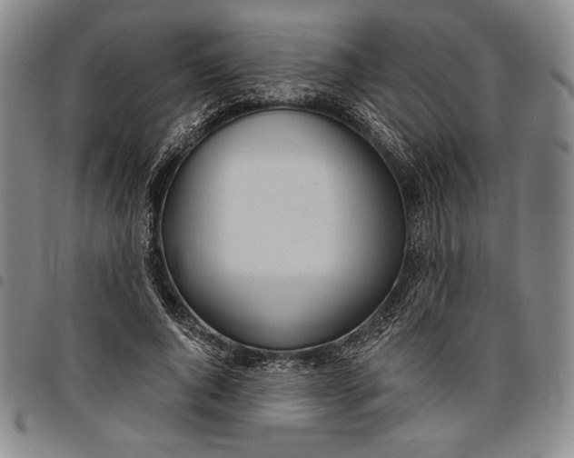 X0000096630736200802191156