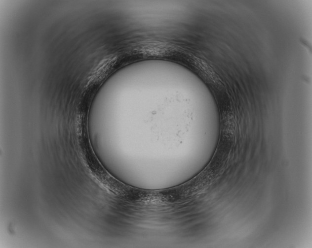 X0000096630738200802191156