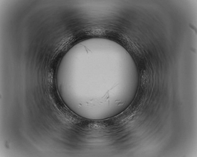 X0000096630739200802191156
