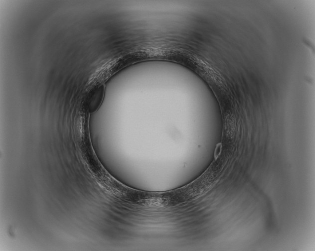 X0000096630740200802191156