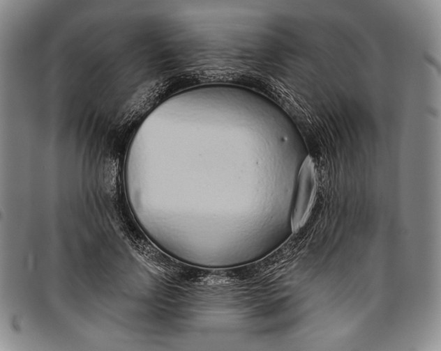 X0000096630742200802191156