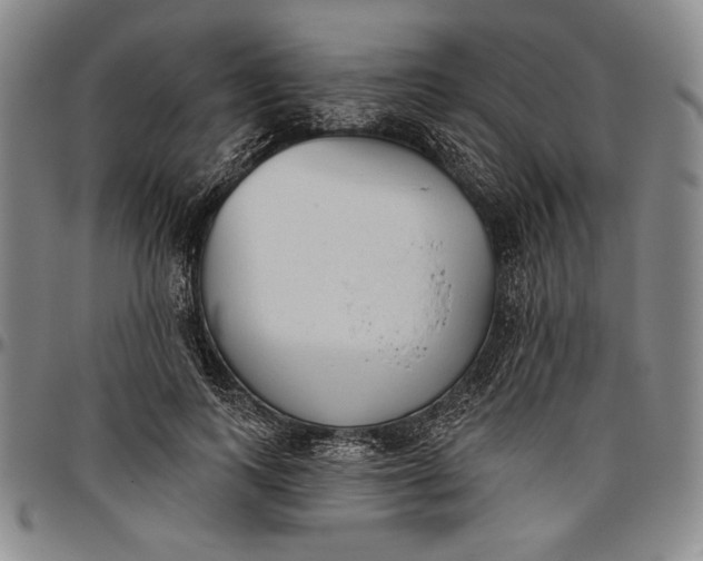 X0000096630743200802191156