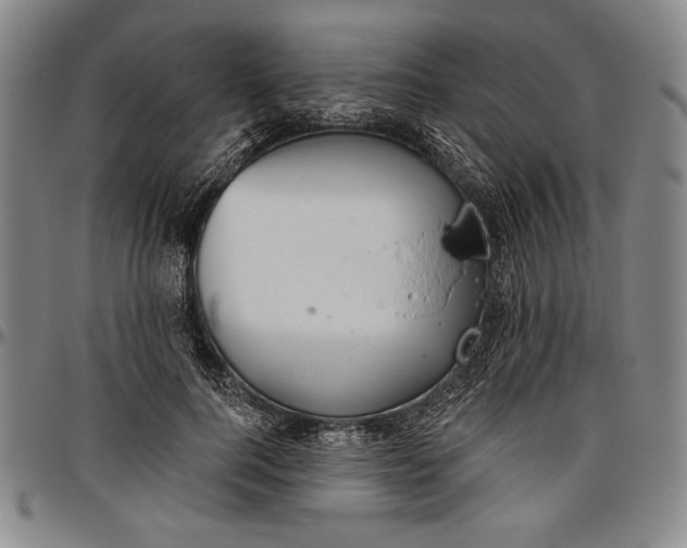 X0000096630744200802191156