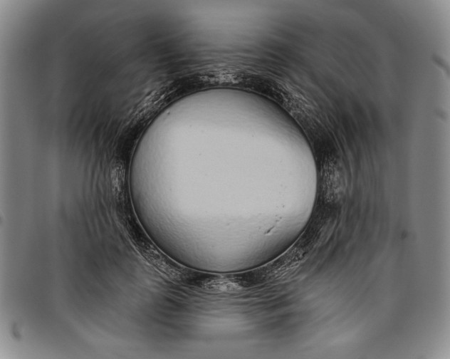 X0000096630747200802191156