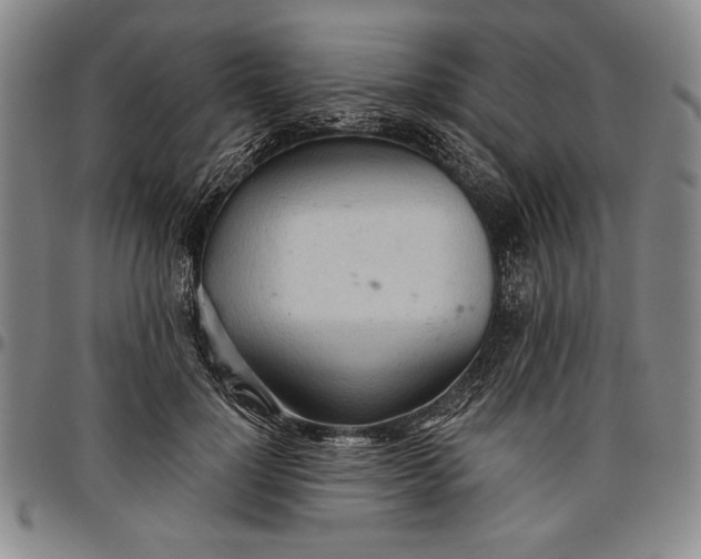 X0000096630748200802191156