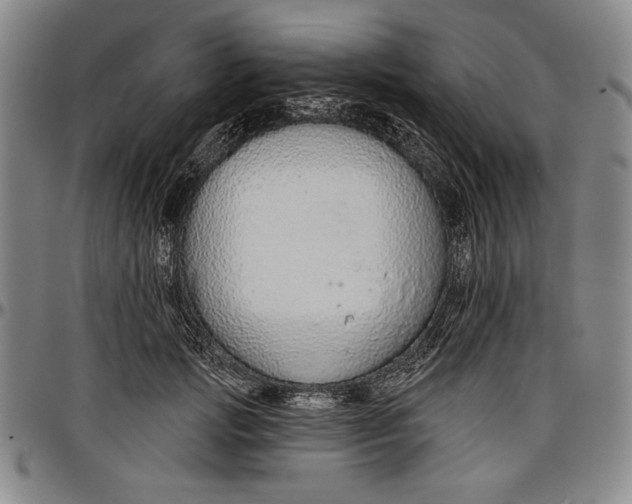 X0000096630749200802191156