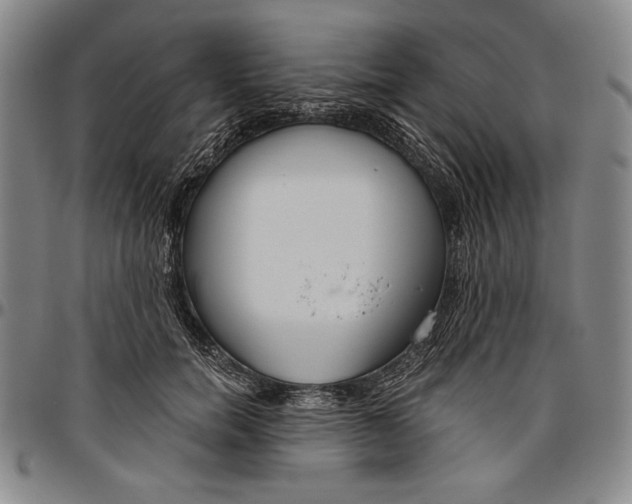 X0000096630750200802191156