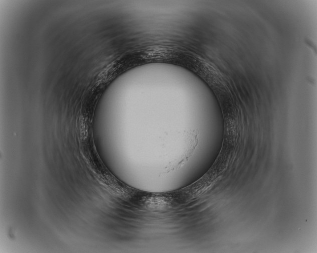 X0000096630751200802191156