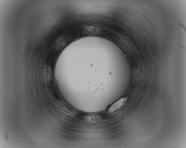 X0000096630752200802191156
