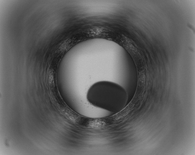 X0000096630754200802191156