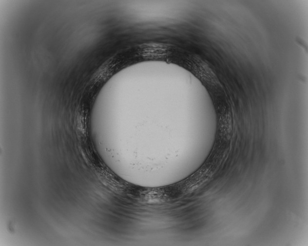 X0000096630755200802191156