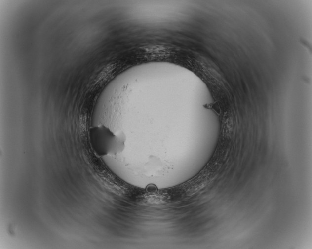 X0000096630756200802191156